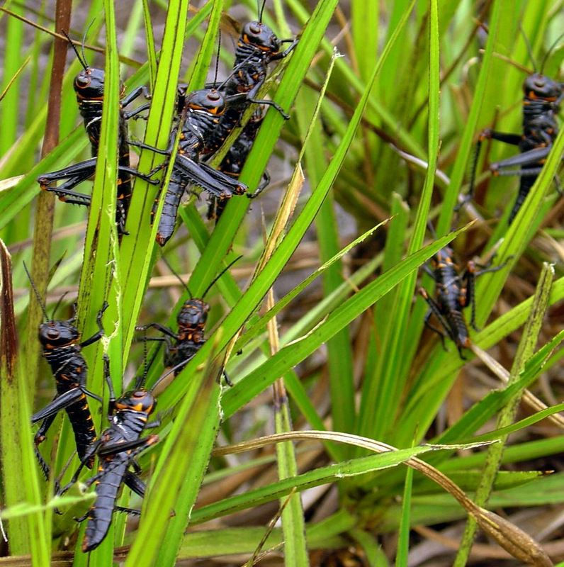 Turismo en America Latina - Chapada Diamantina